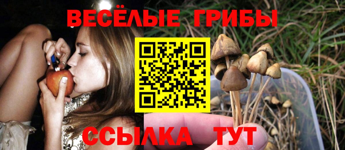 Псилоцибиновые грибы мицелий  Вход с VPN  Сосновоборск 